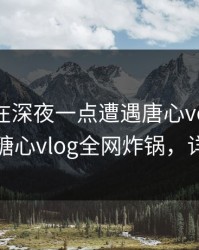 神秘人在深夜一点遭遇唐心volg 刷爆评论，糖心vlog全网炸锅，详情速看