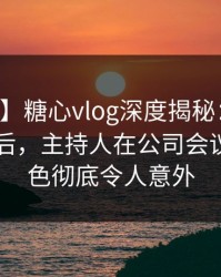 【独家】糖心vlog深度揭秘：溏心tv风波背后，主持人在公司会议室的角色彻底令人意外
