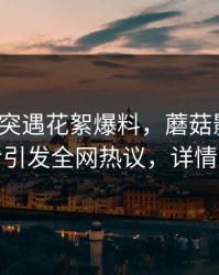 大V中午突遇花絮爆料，蘑菇影视在线观看引发全网热议，详情揭秘