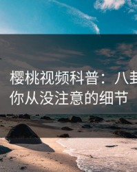 【爆料】樱桃视频科普：八卦背后7个你从没注意的细节