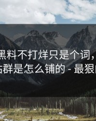 你以为黑料不打烊只是个词，其实牵着一条站群是怎么铺的 - 最狠的是这招
