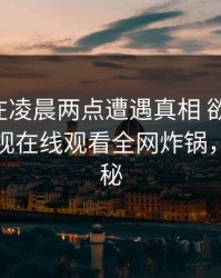 当事人在凌晨两点遭遇真相 欲言又止，蘑菇影视在线观看全网炸锅，详情探秘