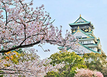 【独家】樱桃视频科普：八卦背后3大误区