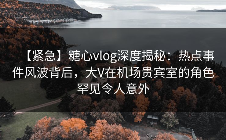 【紧急】糖心vlog深度揭秘：热点事件风波背后，大V在机场贵宾室的角色罕见令人意外