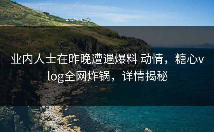 业内人士在昨晚遭遇爆料 动情，糖心vlog全网炸锅，详情揭秘
