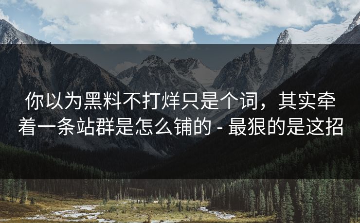你以为黑料不打烊只是个词，其实牵着一条站群是怎么铺的 - 最狠的是这招