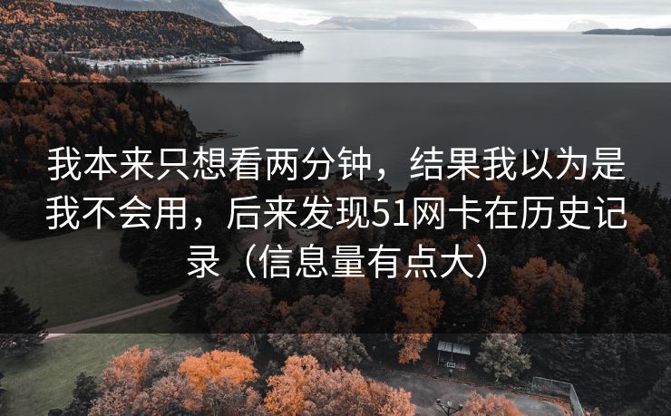 我本来只想看两分钟，结果我以为是我不会用，后来发现51网卡在历史记录（信息量有点大）